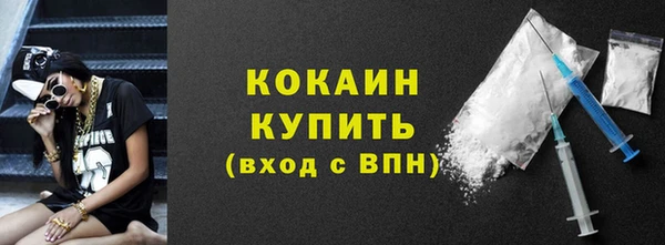 индика Ростов