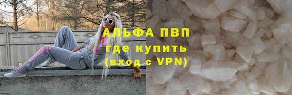 индика Ростов