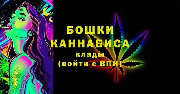 индика Ростов
