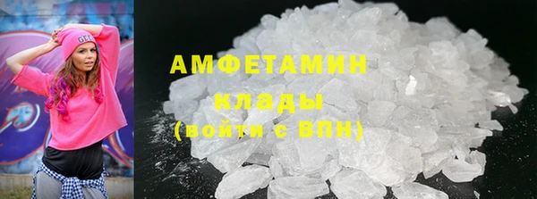 индика Ростов