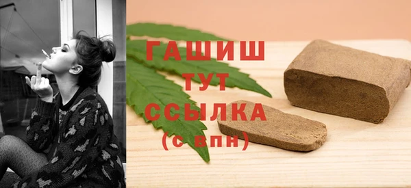 индика Ростов