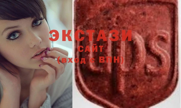 индика Ростов