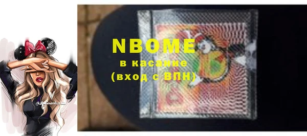 индика Ростов