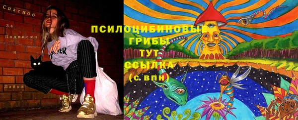 первитин Россошь