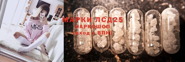 индика Ростов